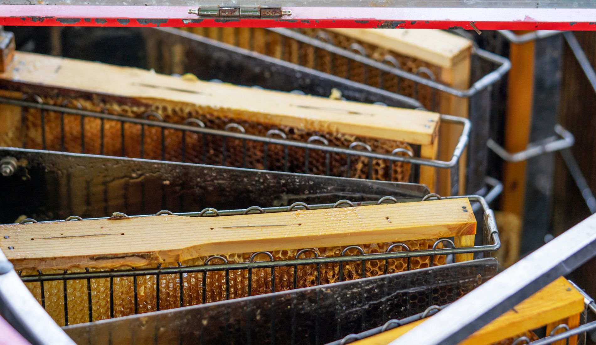Smart beekeepers