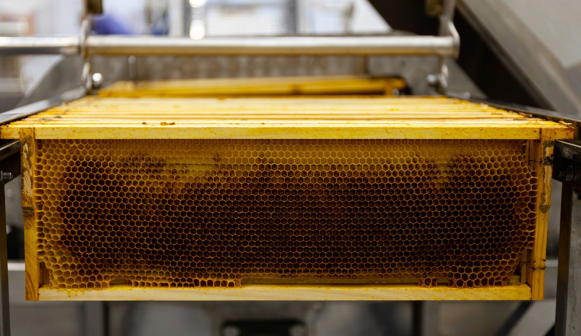 Experiences with beekeeping 